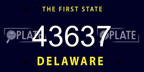 43637 Delaware License Plate