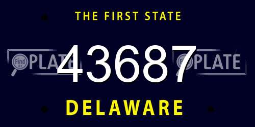 43687 Delaware License Plate