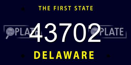 43702 Delaware License Plate