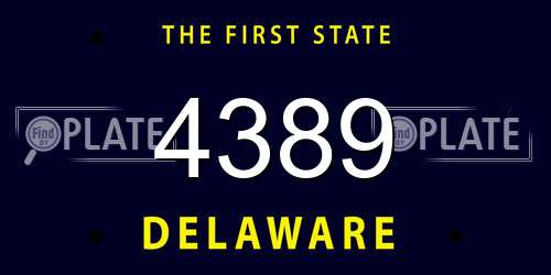 4389 Delaware License Plate