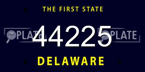 44225 Delaware License Plate