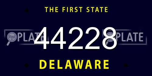44228 Delaware License Plate
