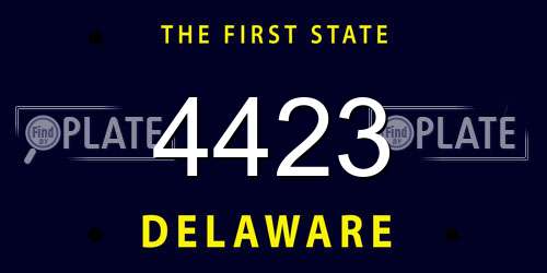 4423 Delaware License Plate