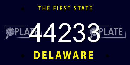 44233 Delaware License Plate