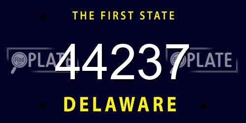 44237 Delaware License Plate