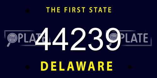 44239 Delaware License Plate