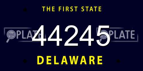 44245 Delaware License Plate