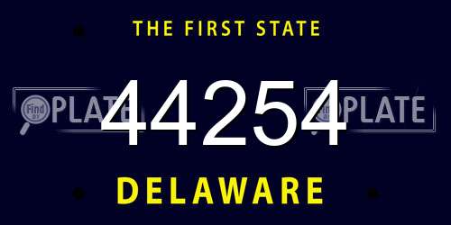 44254 Delaware License Plate