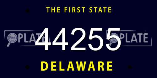 44255 Delaware License Plate