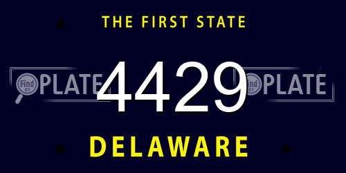 4429 Delaware License Plate