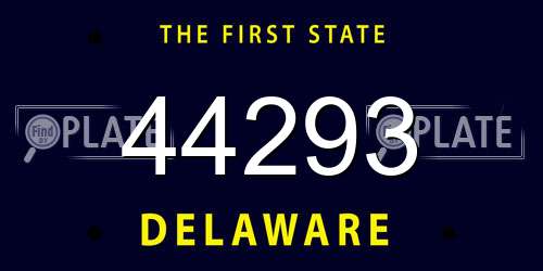 44293 Delaware License Plate
