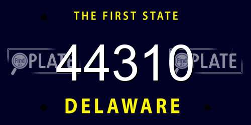 44310 Delaware License Plate