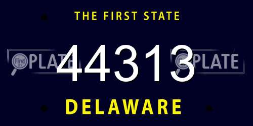 44313 Delaware License Plate