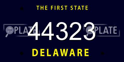 44323 Delaware License Plate