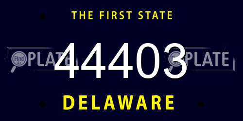 44403 Delaware License Plate