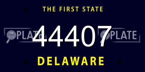 44407 Delaware License Plate