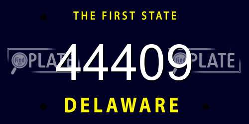 44409 Delaware License Plate