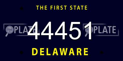 44451 Delaware License Plate