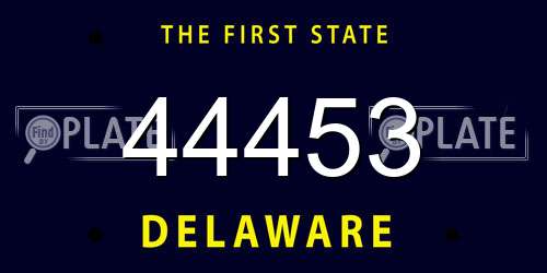 44453 Delaware License Plate