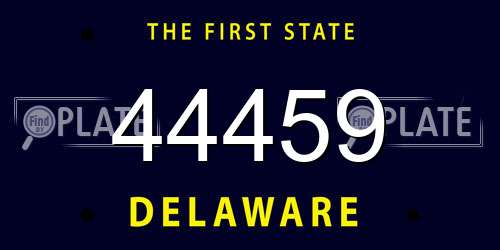44459 Delaware License Plate