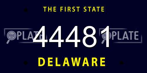 44481 Delaware License Plate