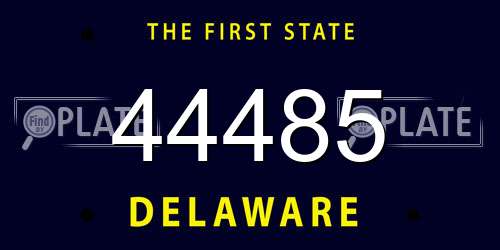 44485 Delaware License Plate