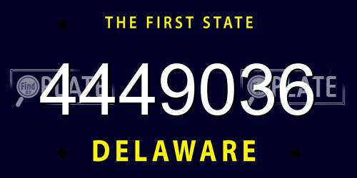 4449036 Delaware License Plate