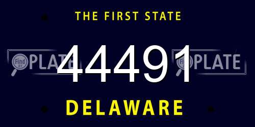 44491 Delaware License Plate