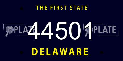 44501 Delaware License Plate