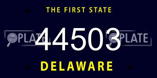 44503 Delaware License Plate