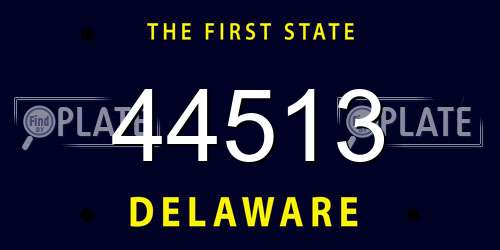 44513 Delaware License Plate