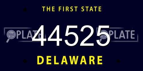 44525 Delaware License Plate