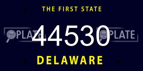 44530 Delaware License Plate