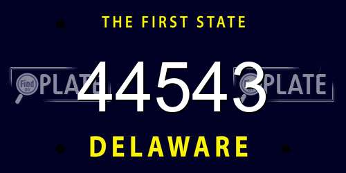 44543 Delaware License Plate