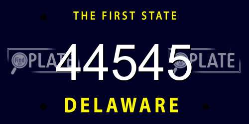 44545 Delaware License Plate