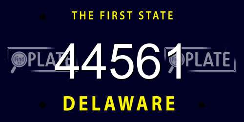 44561 Delaware License Plate
