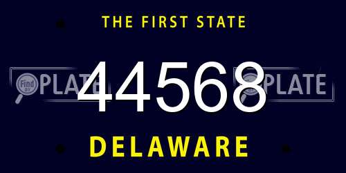 44568 Delaware License Plate