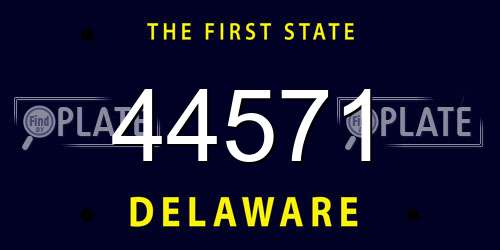 44571 Delaware License Plate