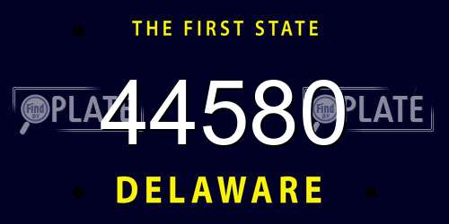 44580 Delaware License Plate