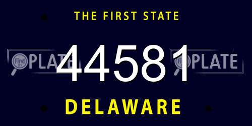 44581 Delaware License Plate