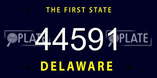 44591 Delaware License Plate