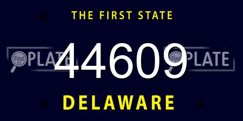 44609 Delaware License Plate