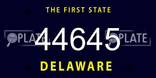 44645 Delaware License Plate