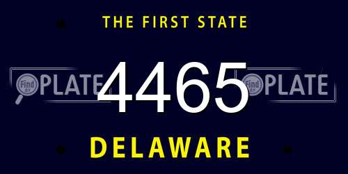 4465 Delaware License Plate
