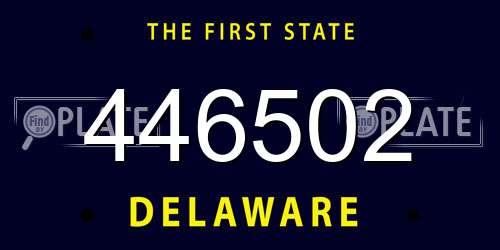 446502 Delaware License Plate
