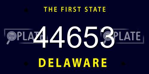 44653 Delaware License Plate