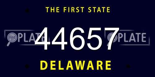 44657 Delaware License Plate