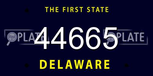 44665 Delaware License Plate