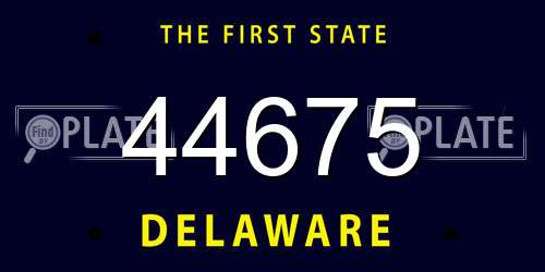 44675 Delaware License Plate