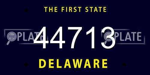 44713 Delaware License Plate